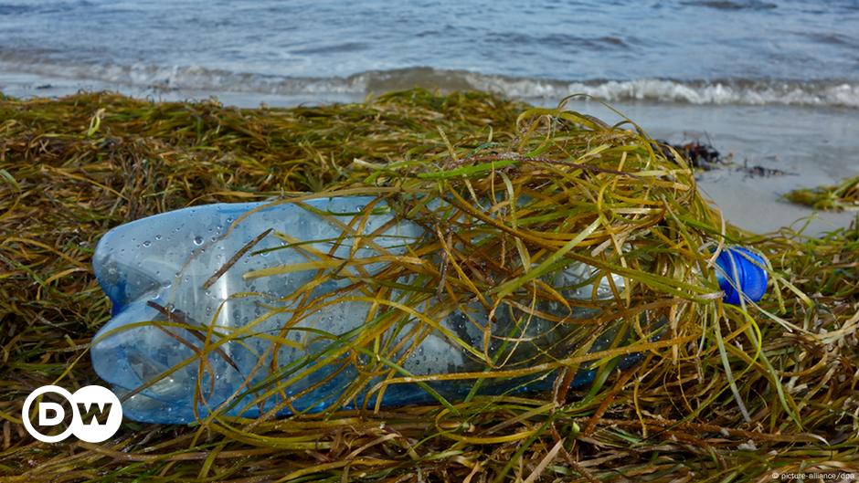 Plastikflasche leer – und nun? – DW – 13.02.2018